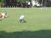player11.jpg (116436 bytes)