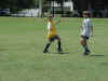 player5.jpg (92354 bytes)